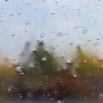 Seeded Glass